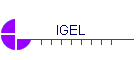 IGEL